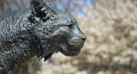 Wildcat statue in profile