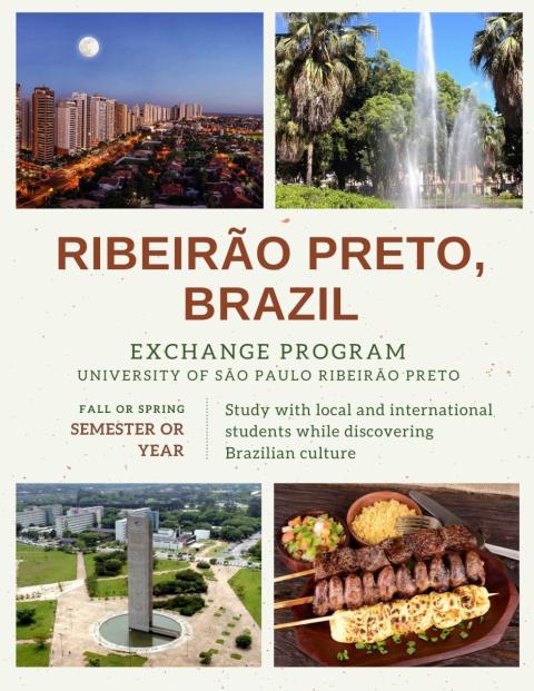 Brazil Program Flyer