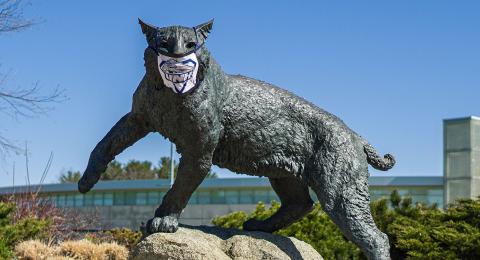 Wildcat with mask