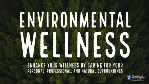 environmental wellness
