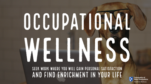 occupational wellness