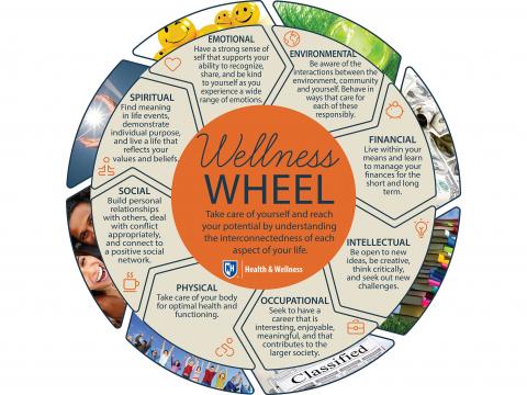 Viziune wellness Misiune - Viziune - Valori - Holistic Wellness