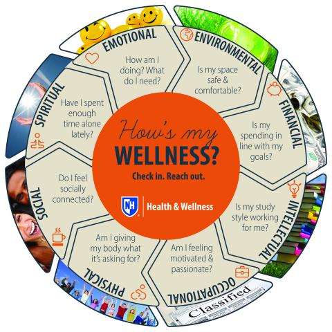 wellness wheel with questions