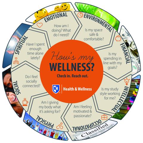 Wellness Wheel with Questions