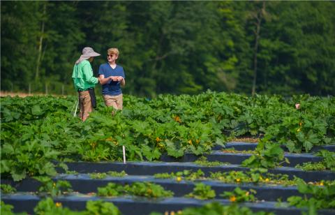 Student and faculty member standing in a field discussing sustainability