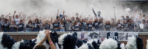 Football Fans Cheering