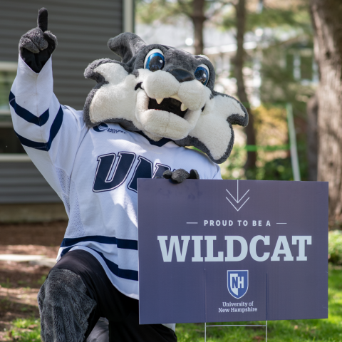 Wild E. Cat holding a printed lawn sign