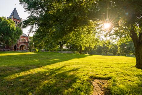 t-hall in the summer