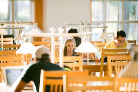 students working in library
