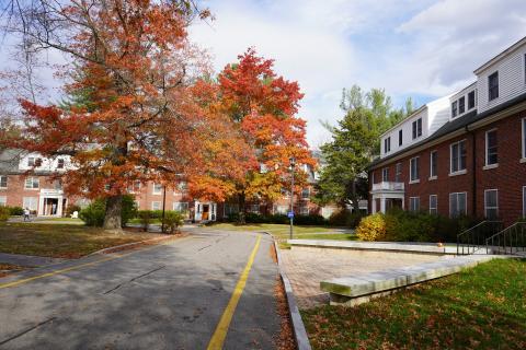 Lower Quad with Engelhardy