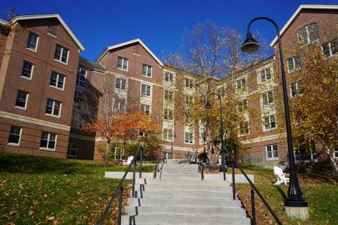 Haaland Exterior