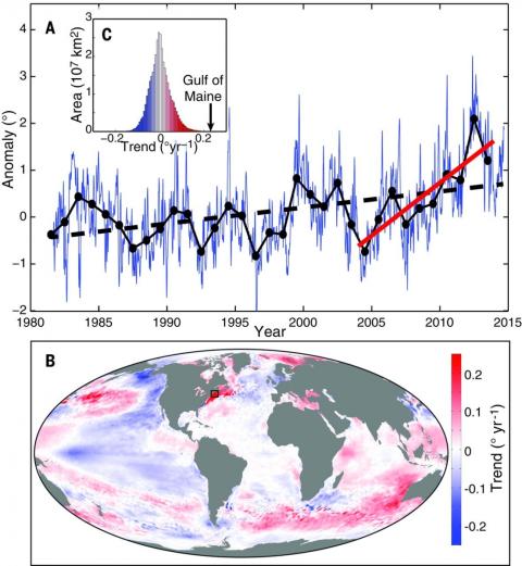 Figure 1: Sea surface temperatures
