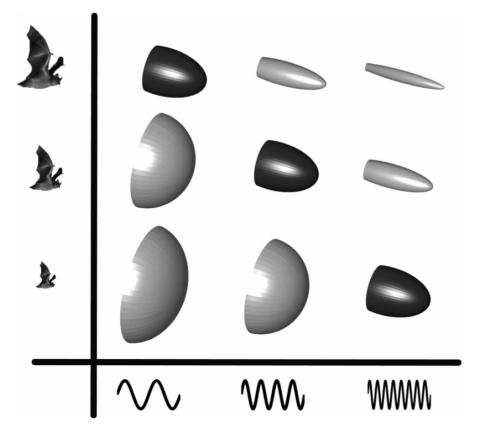 Eveland Figure 5