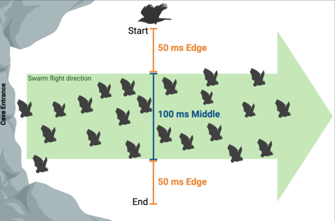 Eveland diagram