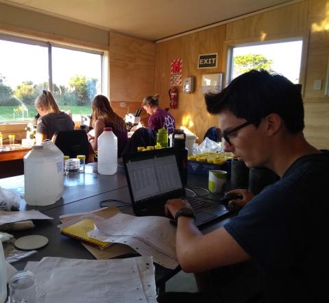 Author working on computer