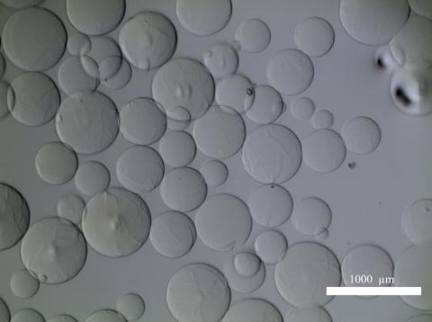 Bubble-looking circles of various sizes overlap on a gray and white background.