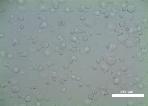 small bubble-looking circles are spread throughout the slide on a gray-blue background.