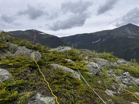 Transect