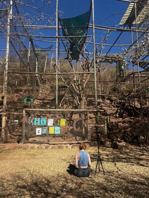 Breen observing monkeys