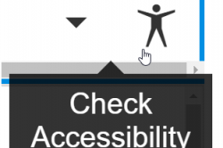 Check Accessibility Icon