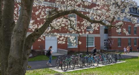 Students walking next to Hamilton Smith in the spring