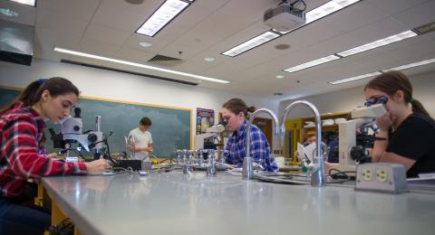 Students working in a STEM classroom