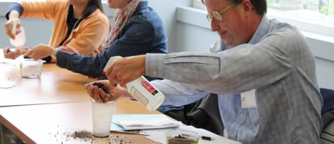 Teachers Investigating Phenomena