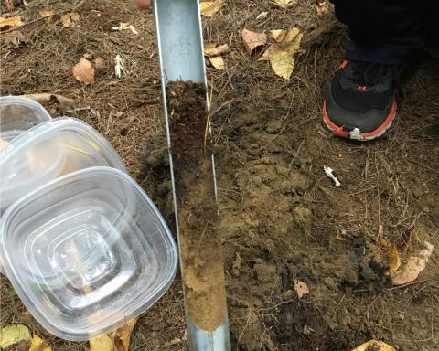 a soil sample is collected using a soil corer tool