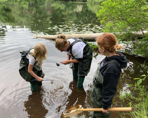 students standing in water, wearing waders, and collecting macroinvertebrates using nets
