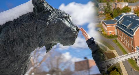 wildcat statue and Hamilton Smith Hall