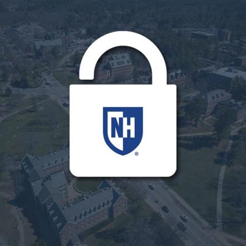 padlock icon for decoration only
