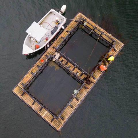 marine research vessel from drone