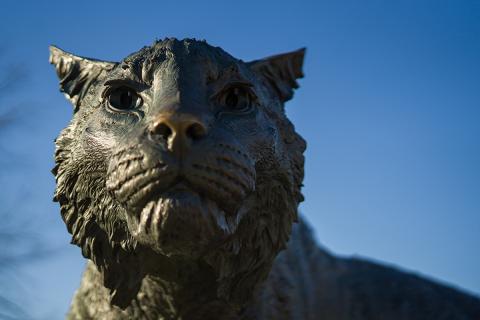 Close up of the Wildcat Statue 