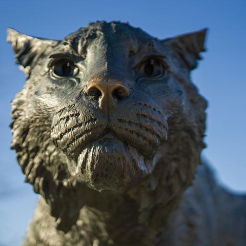 Close up of Wildcat Statue 
