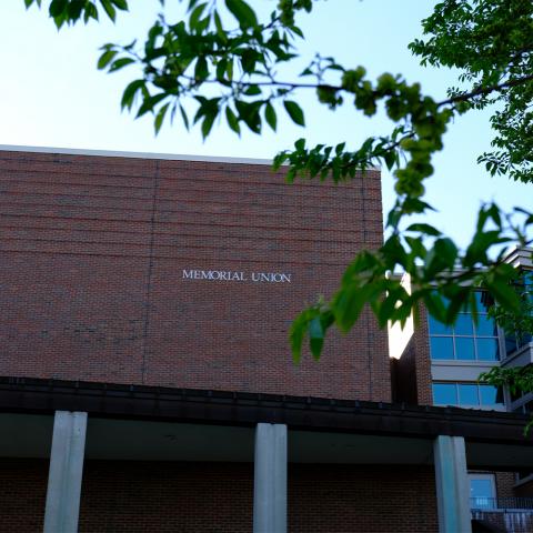 Outside of MUB with tree