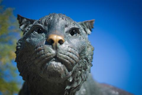 Close up of Wildcat statue.