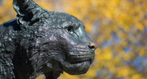 Wildcat Statue