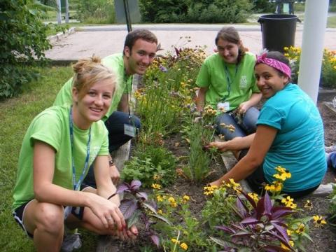 Students planting flower garden