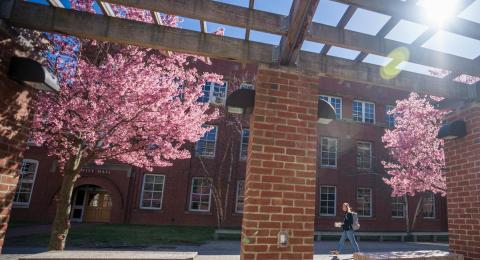 Spring UNH Campus view