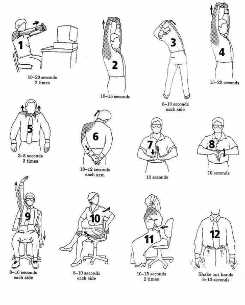 diagram of stretching exercises  