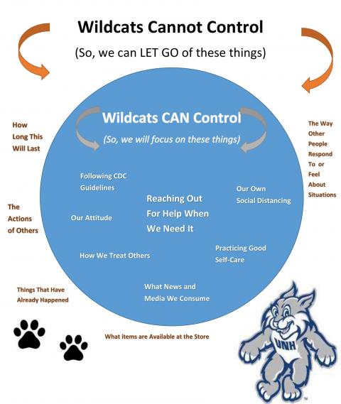 What WIldcats Can and Cannot Control diagram