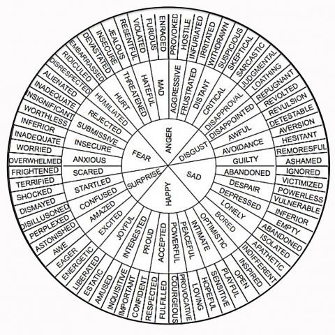 Recognizing Emotions Wheel