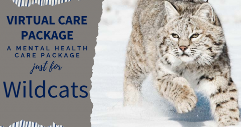 PACS Virtual Care Package image