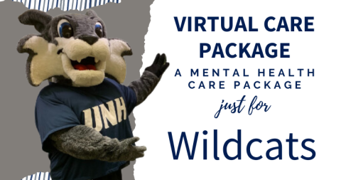 Wild E Cat Virtual Care Package Banner Image