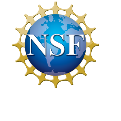 NSF logo for decoration only