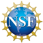 NSF logo for decoration only