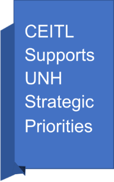 CEITL Supports UNH Strategic Priorities