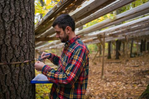 Student doing research at UNH