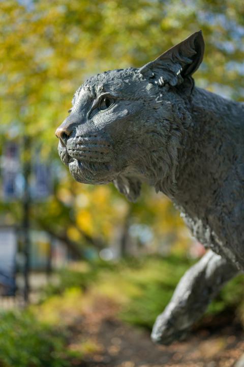 Wildcat Statue