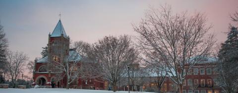 Snowy T-Hall